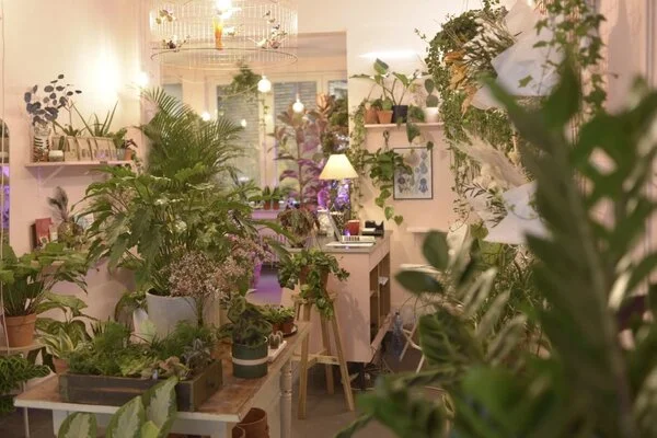 Devanture de Végétal Pétale